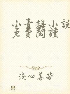 小青梅小说全文免费阅读