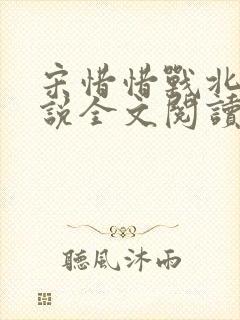 宋惜惜战北望小说全文阅读封面