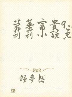 荣华富贵9小王莉莉小说免费阅读