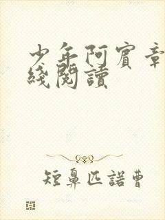 少年阿宾章节在线阅读