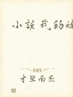小说 我的娇妻封面