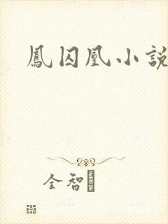 凤囚凰小说