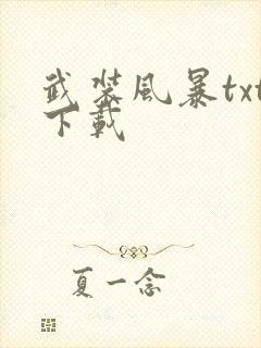 武装风暴txt下载