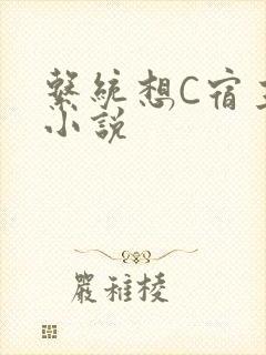 系统想C宿主的小说