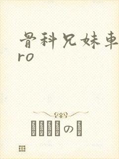 骨科兄妹车多pro