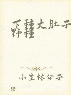下种大肚子怀孕野种