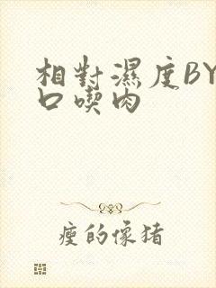 相对湿度BY大口吃肉