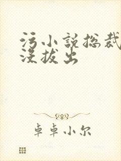 污小说总裁整夜没拔出封面