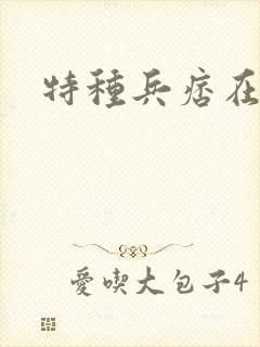 特种兵痞在都市