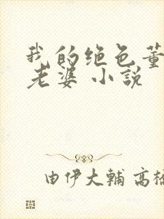 我的绝色董事长老婆 小说