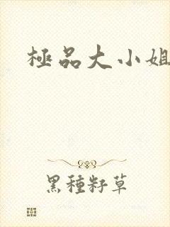极品大小姐