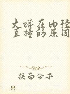 大蟒在内径横冲直撞的原因封面