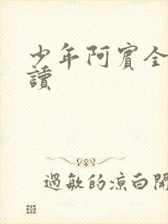 少年阿宾全集阅读