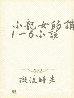小龙女的销魂夜1一6小说封面