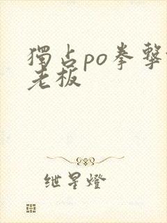 独占po拳击馆老板