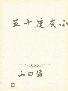 五十度灰小说封面