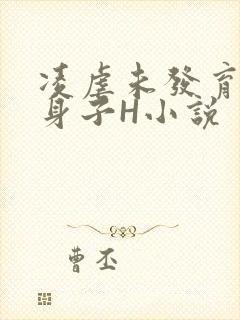 凌虐未发育的小身子H小说
