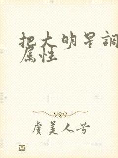 把大明星调成专属性