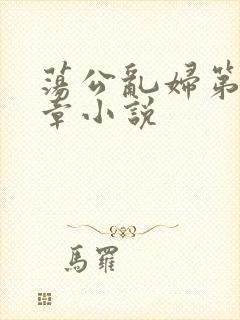 荡公乱妇第51章小说封面