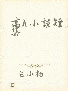 高h小说短篇合集