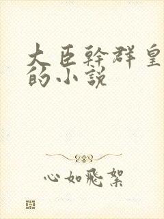 大臣干群皇太后的小说