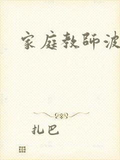 家庭教师波封面