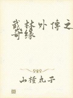 武林外传之同福奇缘