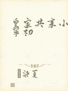 皇家共享小公主宁初