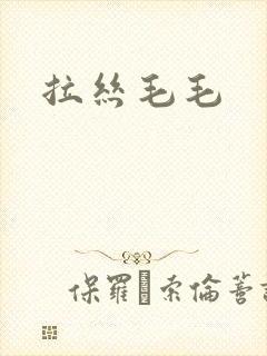 拉丝毛毛
