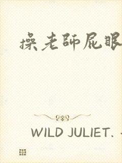 操老师屁眼小说封面