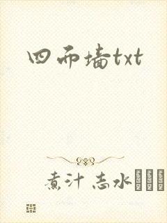 四面墙txt
