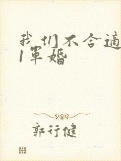 我们不合适1v1军婚