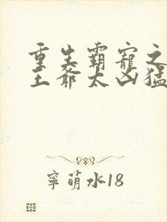 重生霸宠之摄政王爷太凶猛