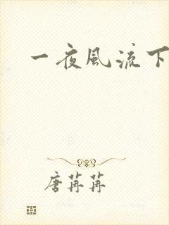 一夜风流下载