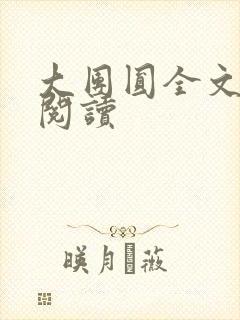 大团圆全文完整阅读封面