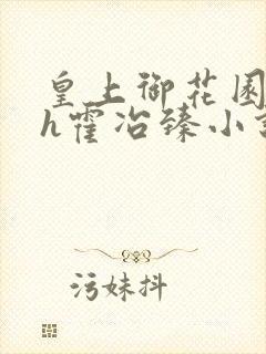 皇上御花园hlh霍冶臻小说