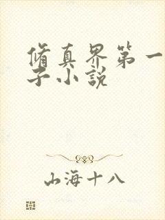 修真界第一病秧子小说