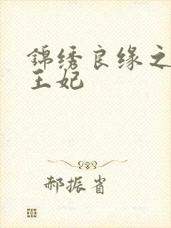 锦绣良缘之北地王妃封面