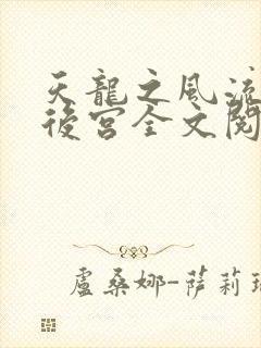 天龙之风流猎艳后宫全文阅读