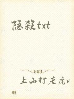 隐杀txt