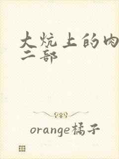 大炕上的肉伦第二部