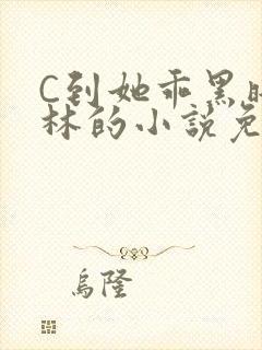 C到她乖黑暗森林的小说免费