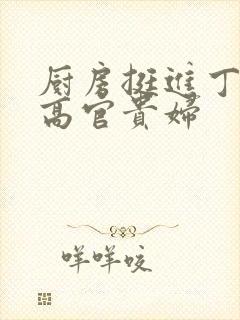 厨房挺进丁字裤高官贵妇