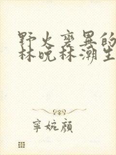 野火变异的父爱林晚林潮生