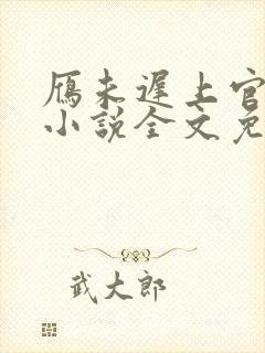 雁未迟上官穿越小说全文免费阅读