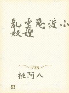 乱云飞渡小说之姣嫂