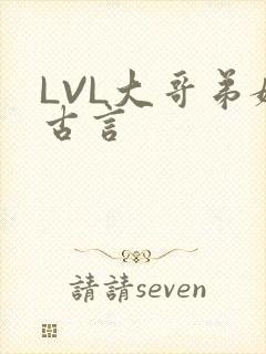 LVL大哥弟媳古言