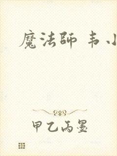 魔法师 韦小宝封面
