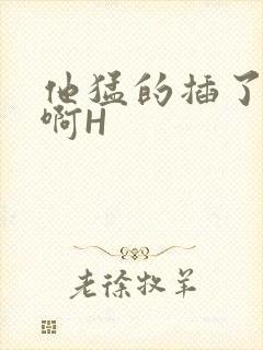 他猛的插了进去啊H封面