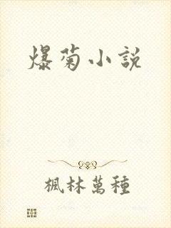 爆菊小说